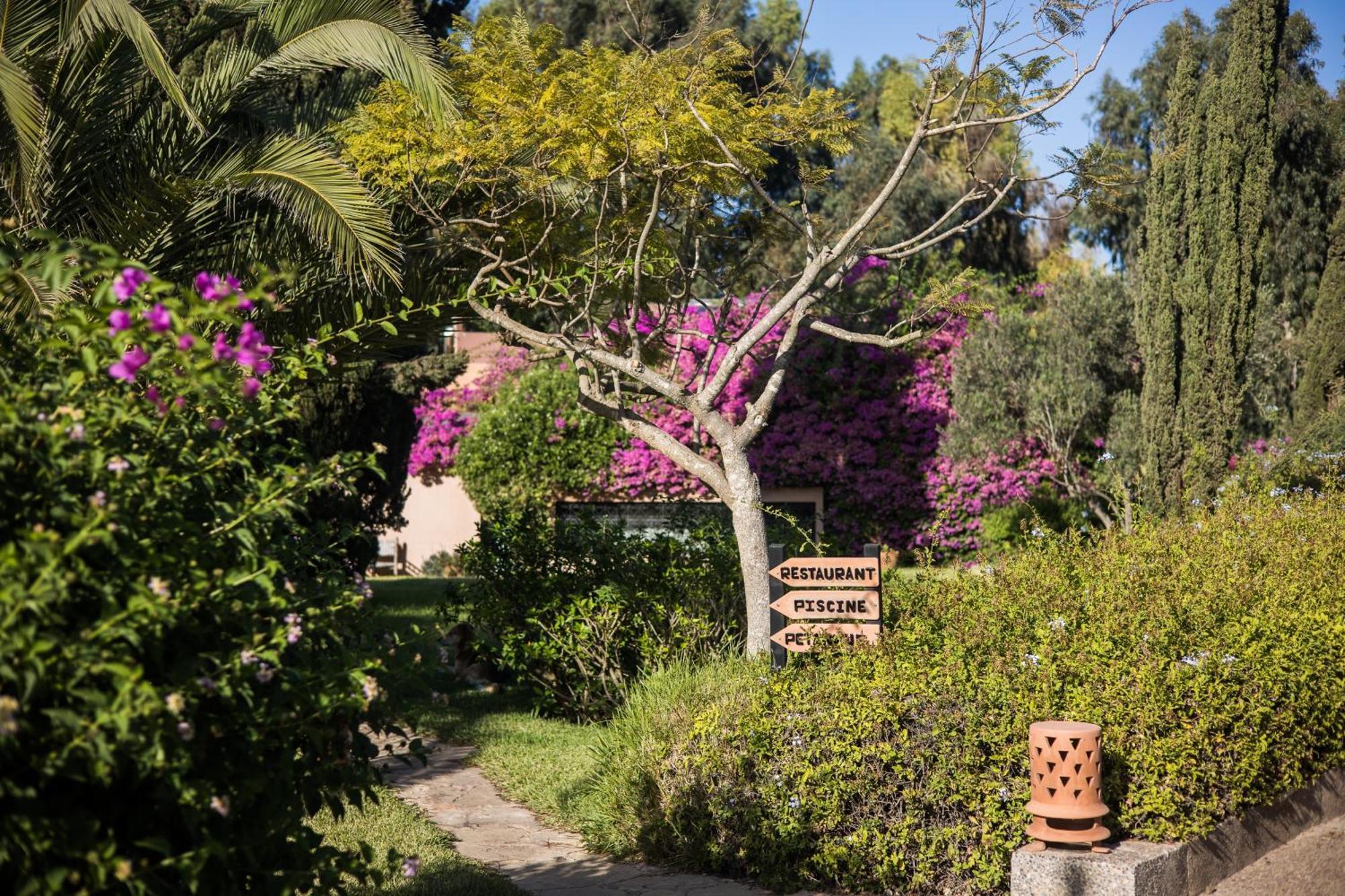 Dar Maktoub Bed & Breakfast Agadir Exterior foto